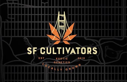 Movetic 10 Year Image 35